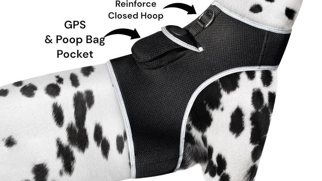 Waterproof Collar Mount Tracker Realtime GPS GSM Puppy Tracking Device Size:L