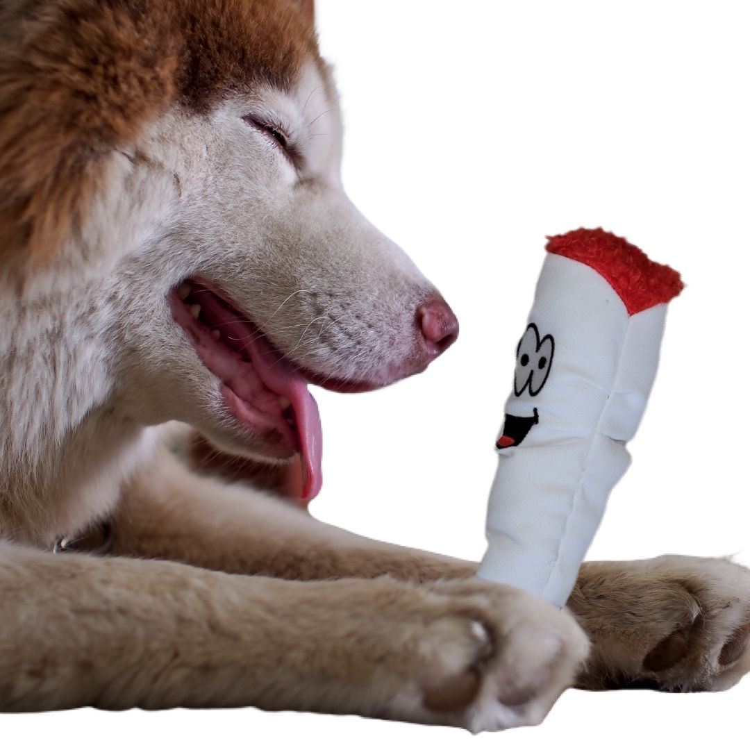 My Name is Jay, Cute Stuffed Parody Joint Dog Toy, Funny Squeaky Weed Toy, Cool Plush Novelty 420 Gift for Pets & Their Owners, Sized for Puppies & Small, Medium & Large Breeds, Fetch & a Photo Prop