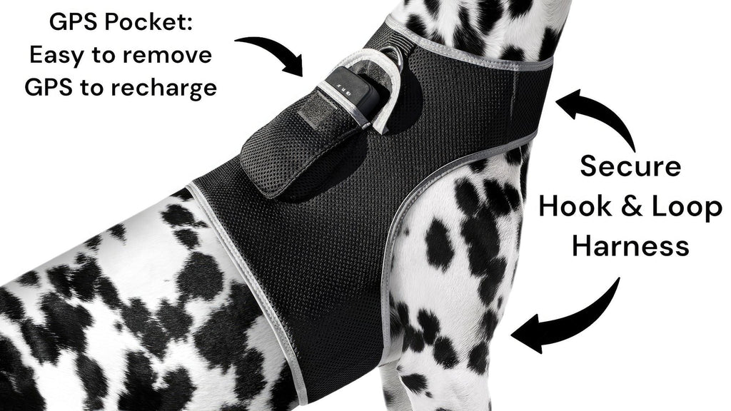 Waterproof Mini Pet Location Finder w/ Pet GPS Tracking Cell Phone App Size:M