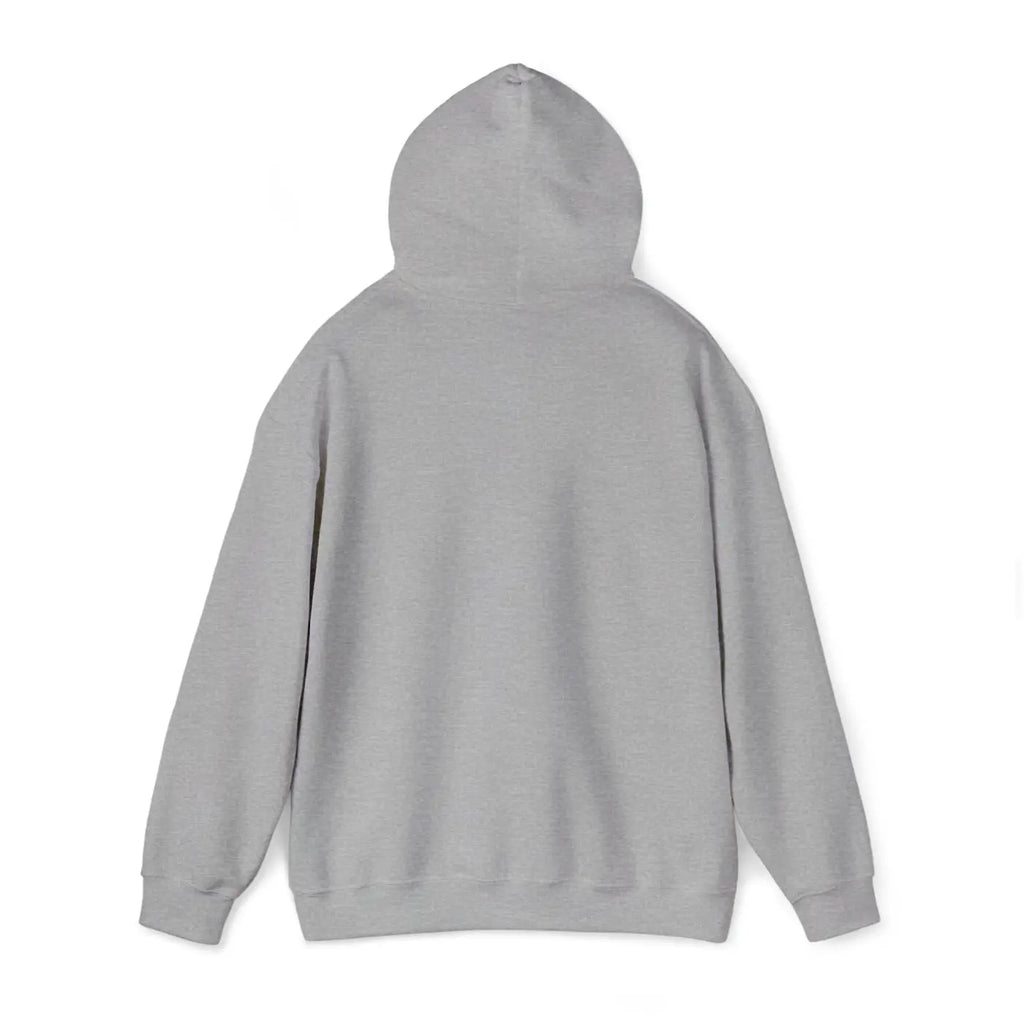 Morning Mantra Bad Days Hoodie - Heather Fabric Comfort - DipaliZ