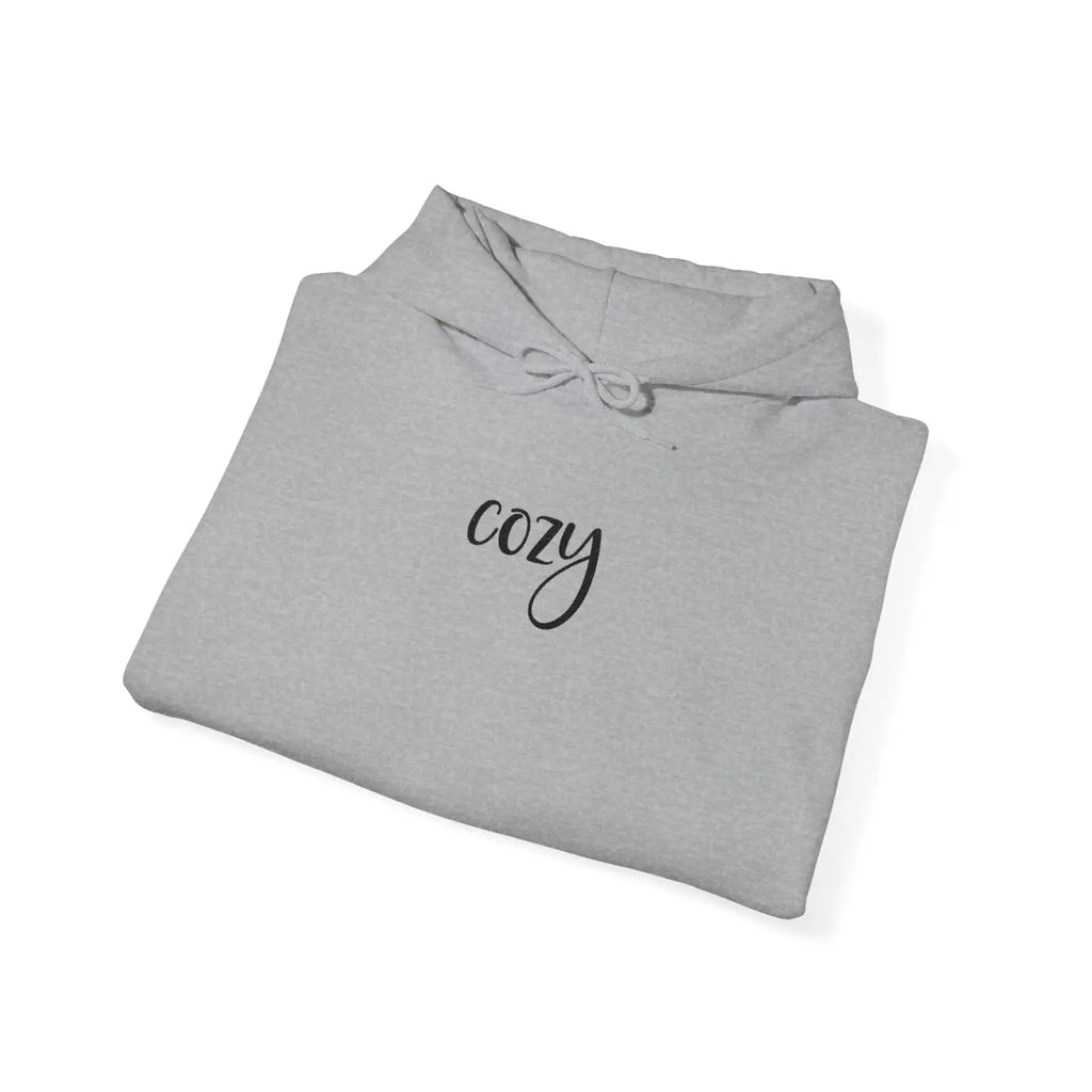 Premium Comfort Embroidered Cozy Word Hoodie - DipaliZ