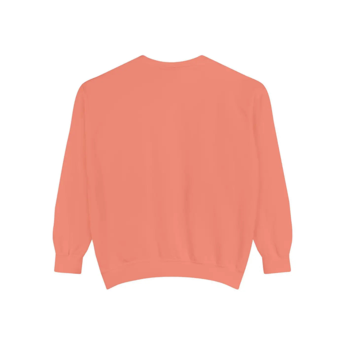 Premium Quality Cozy Sweatshirt - Gift Ideas for Every Day - DipaliZ