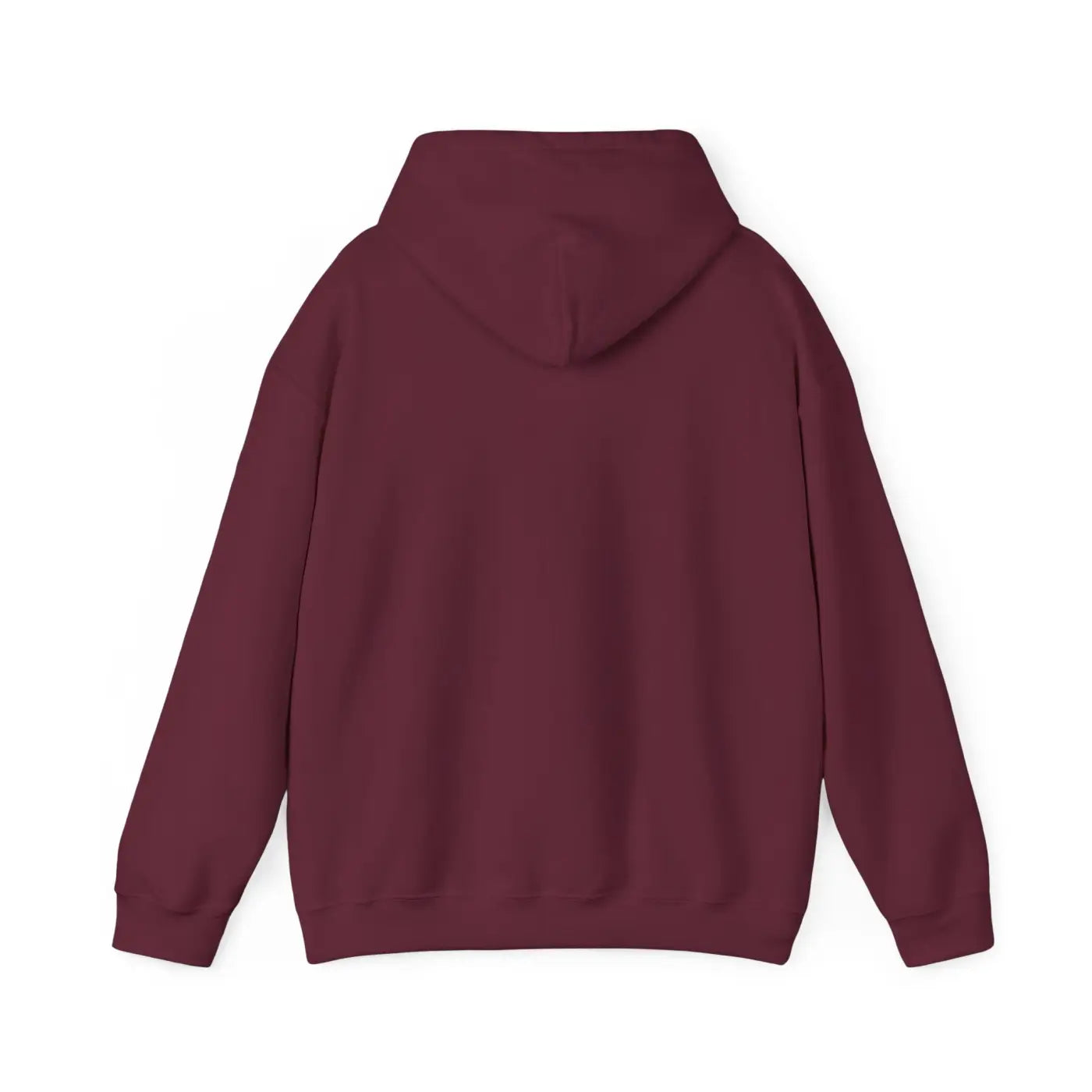 Aquarius Zodiac Sign Hooded Sweatshirt - Cozy Eco-Friendly - DipaliZ