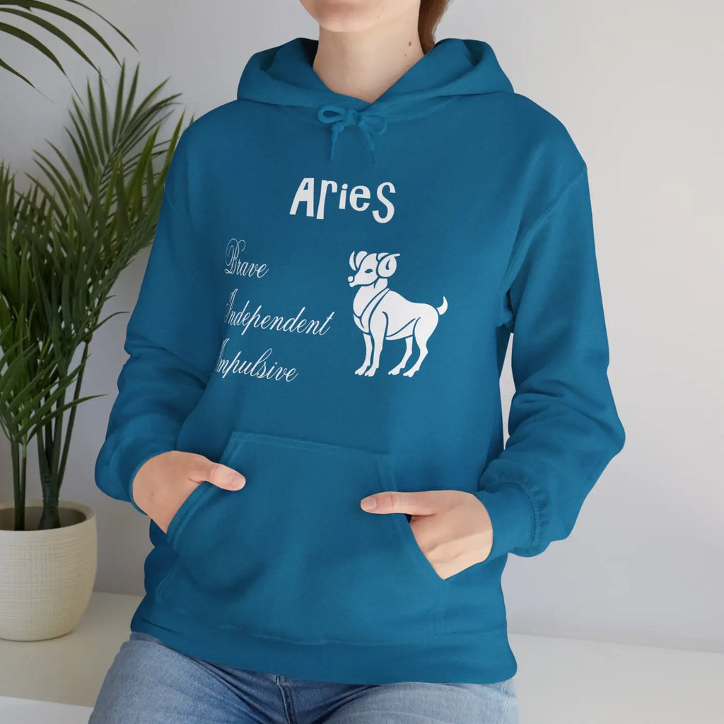 Aries Zodiac Sign Hooded Sweatshirt - Unisex Heavy Blend - DipaliZ
