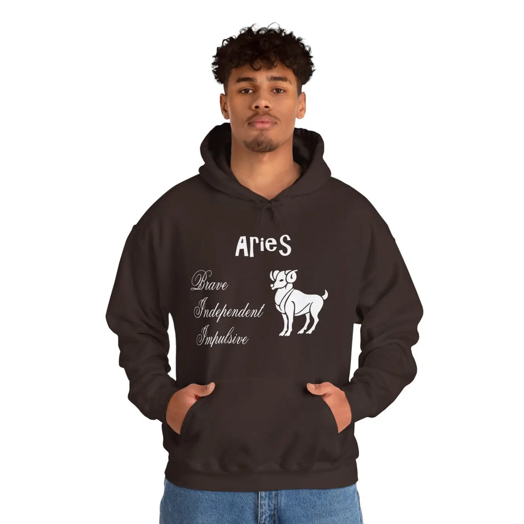 Aries Zodiac Sign Hooded Sweatshirt - Unisex Heavy Blend - DipaliZ