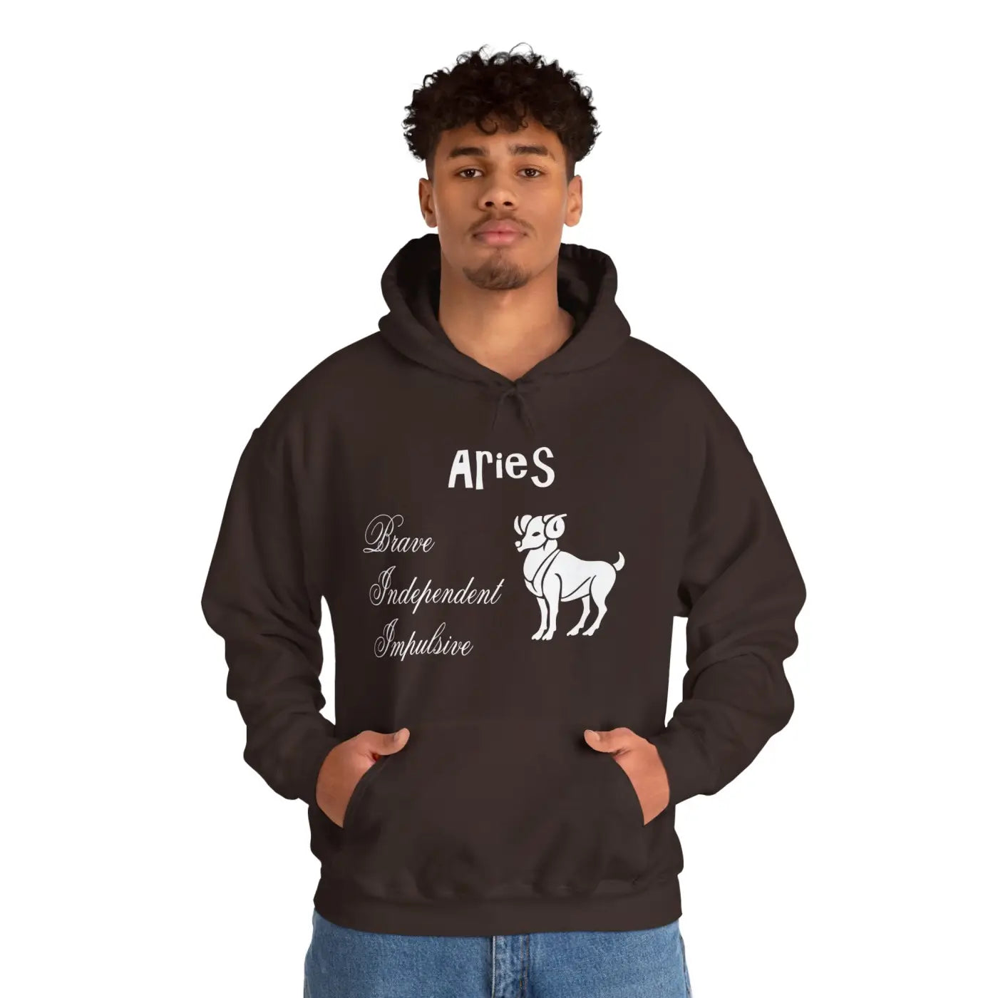 Aries Zodiac Sign Hooded Sweatshirt - Unisex Heavy Blend - DipaliZ