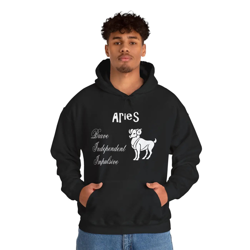 Aries Zodiac Sign Hooded Sweatshirt - Unisex Heavy Blend - DipaliZ