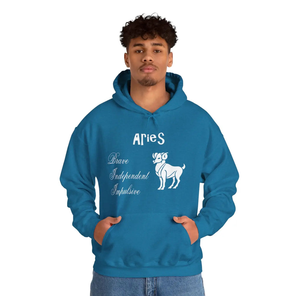 Aries Zodiac Sign Hooded Sweatshirt - Unisex Heavy Blend - DipaliZ