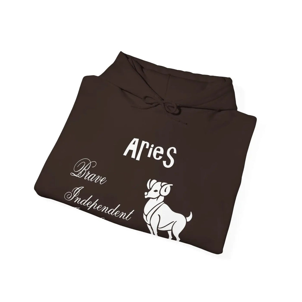 Aries Zodiac Sign Hooded Sweatshirt - Unisex Heavy Blend - DipaliZ