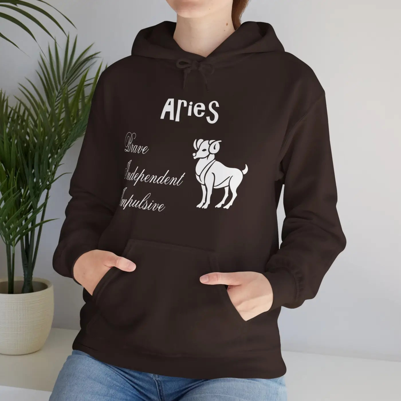Aries Zodiac Sign Hooded Sweatshirt - Unisex Heavy Blend - DipaliZ