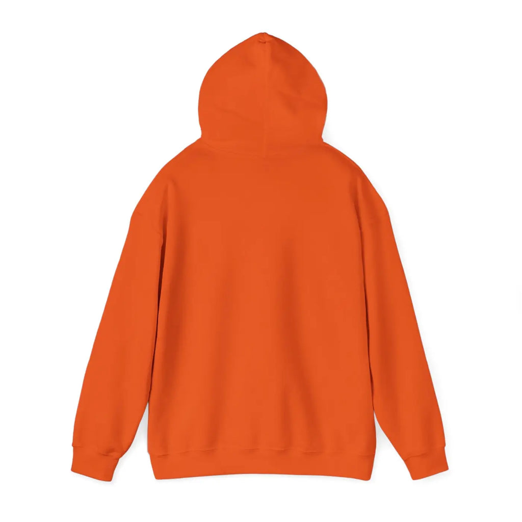 Unisex Heavy Blend Hooded Sweatshirt - Cozy Comfort - DipaliZ