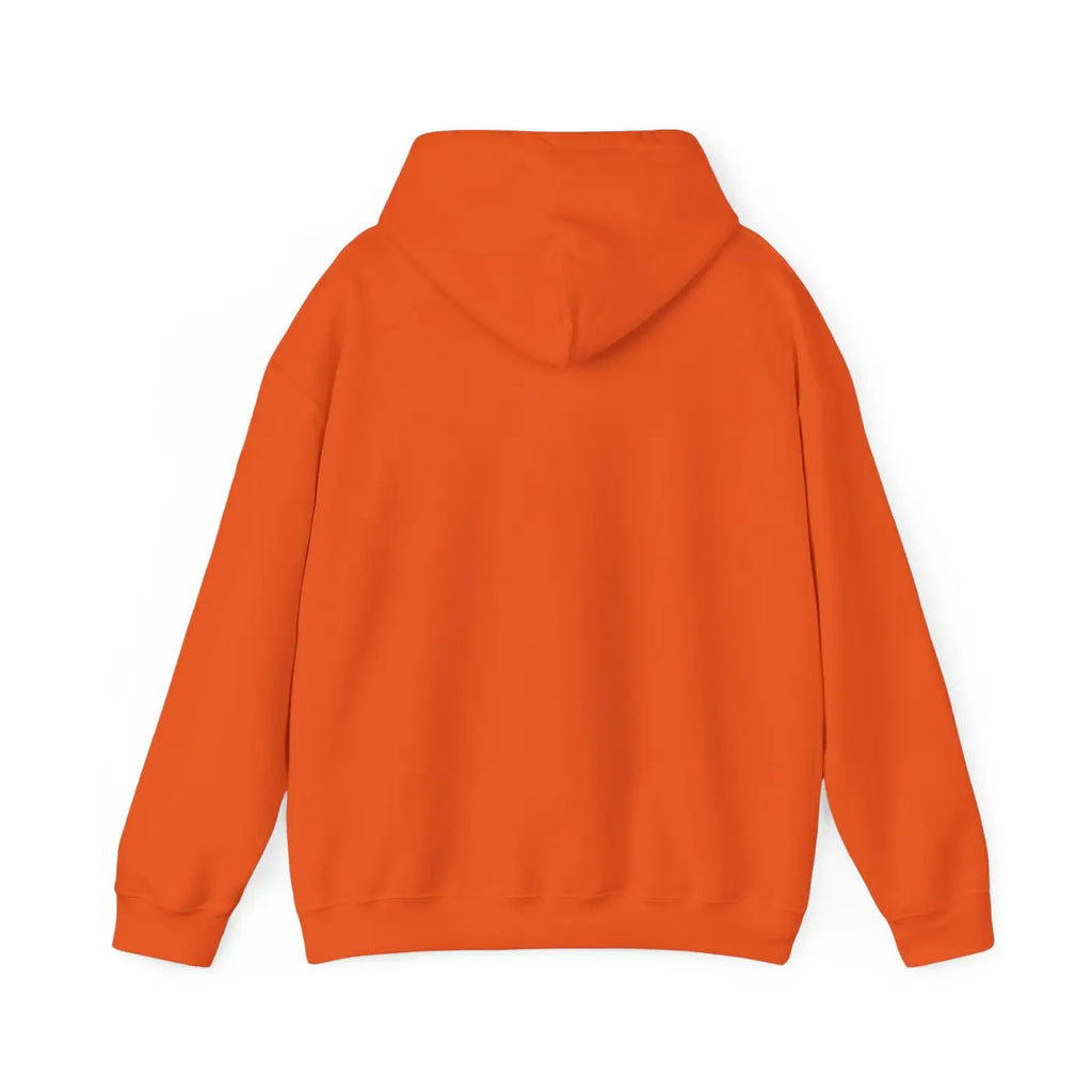 Unisex Heavy Blend Hooded Sweatshirt - Cozy Comfort - DipaliZ