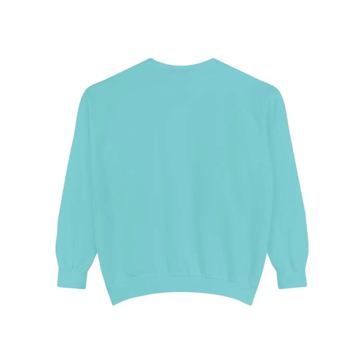 Trendy Fashion Sweatshirt - Cozy Womens Everyday Comfort - DipaliZ