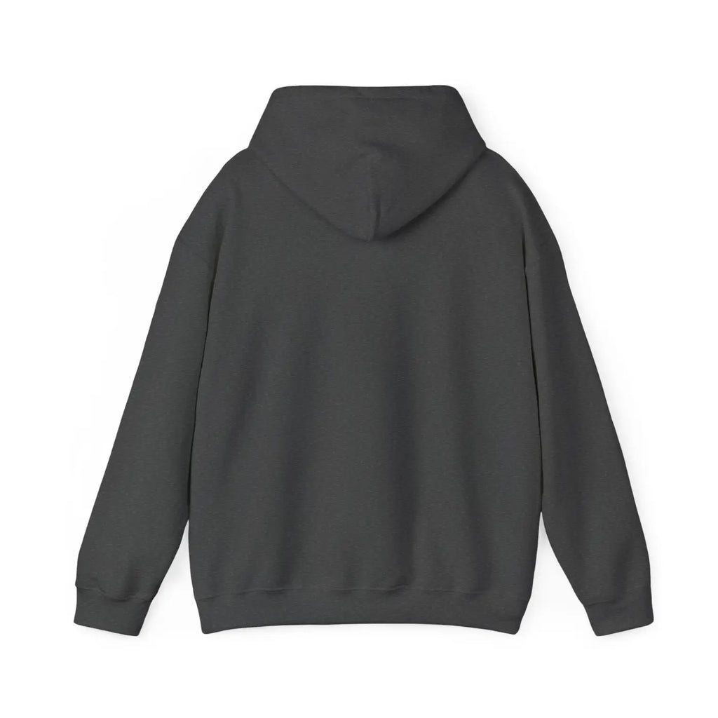 Leo Zodiac Sign Hoodie - Unisex Heavy Blend Sweatshirt - DipaliZ