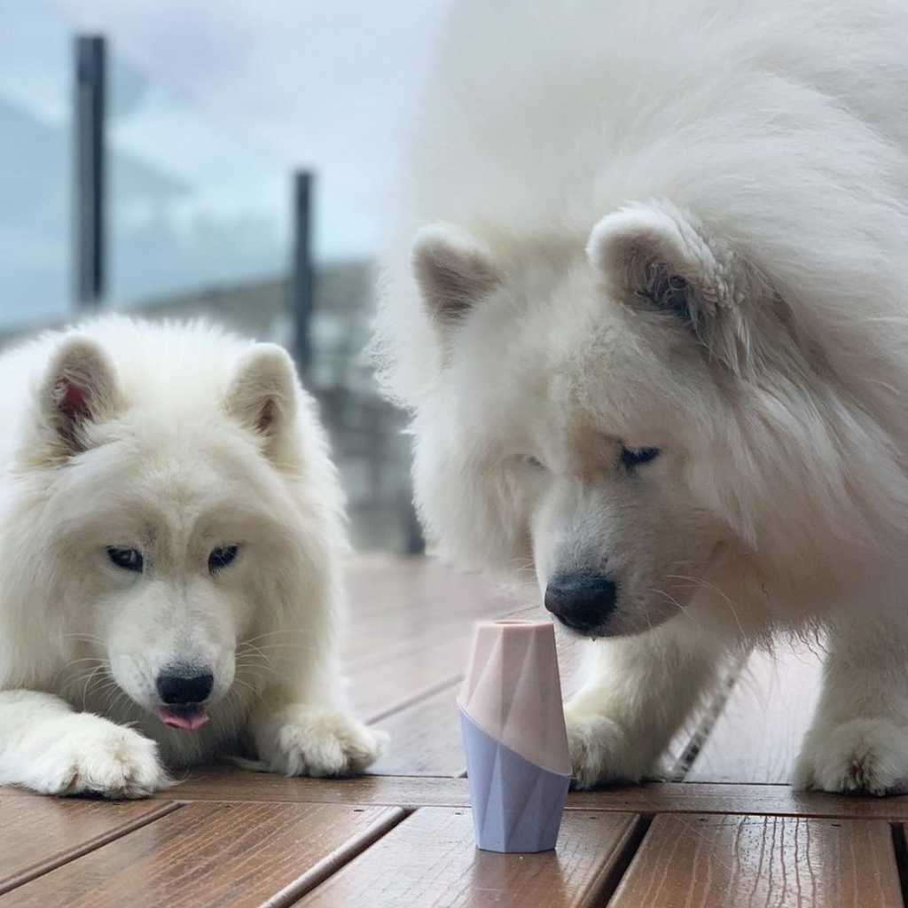The Ubbe Modern Dog Licking Toy