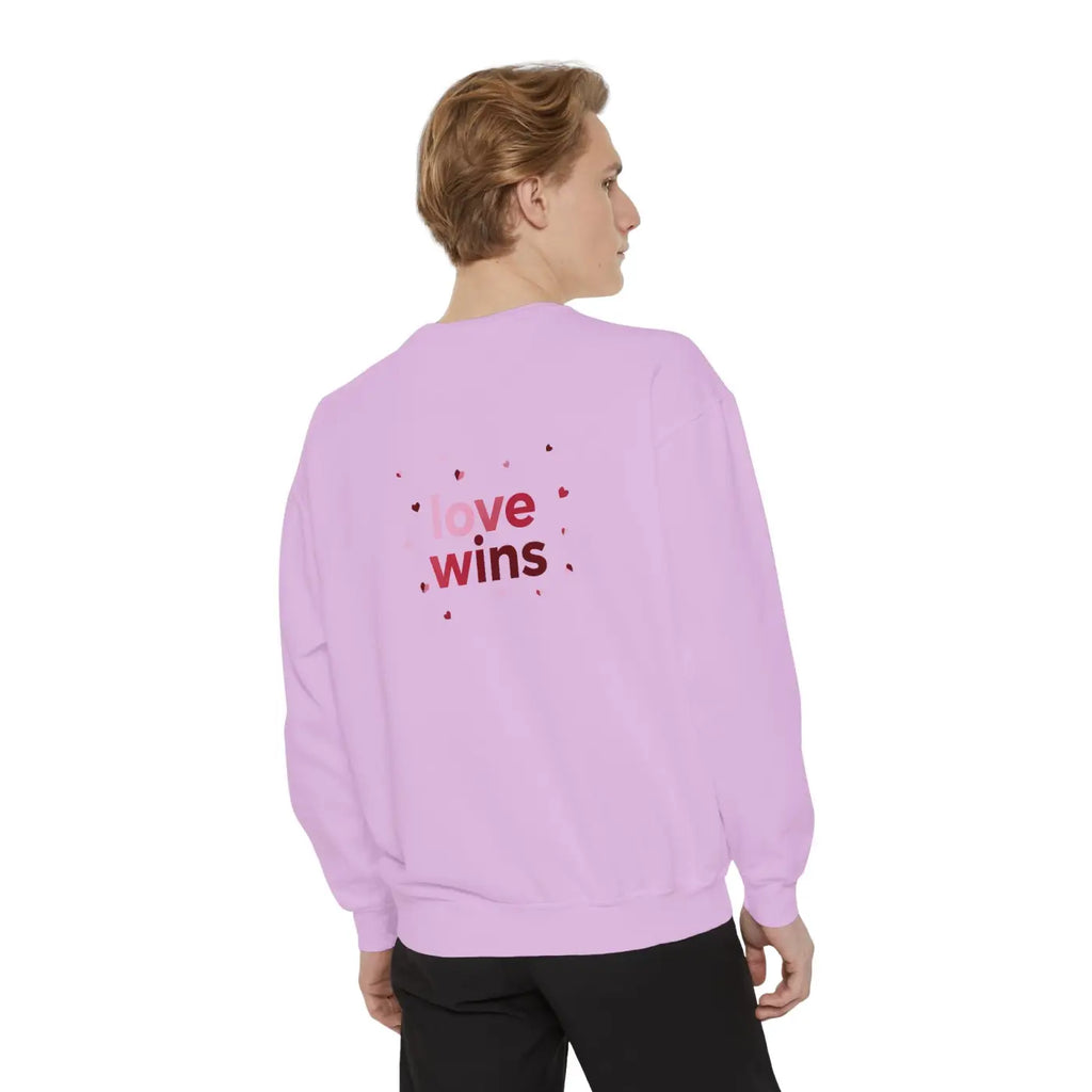 Love Wins Sweatshirt - Cozy White Crewneck - DipaliZ
