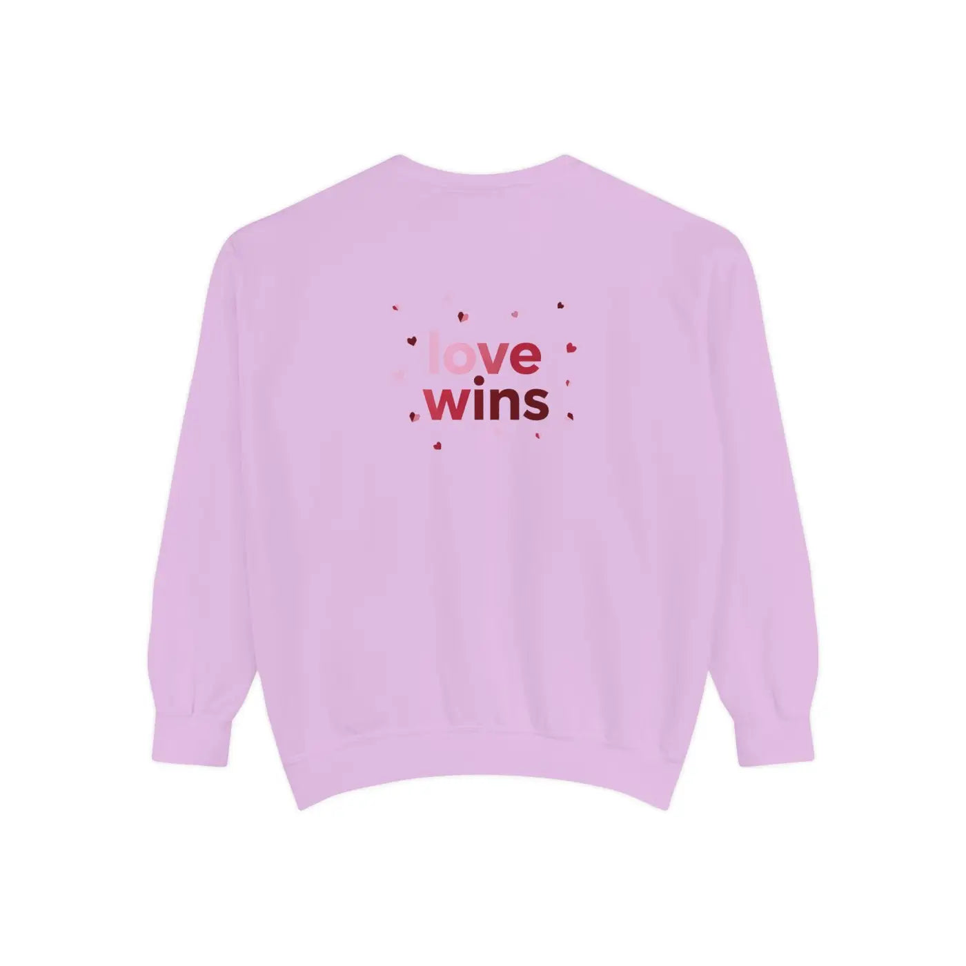 Love Wins Sweatshirt - Cozy White Crewneck - DipaliZ