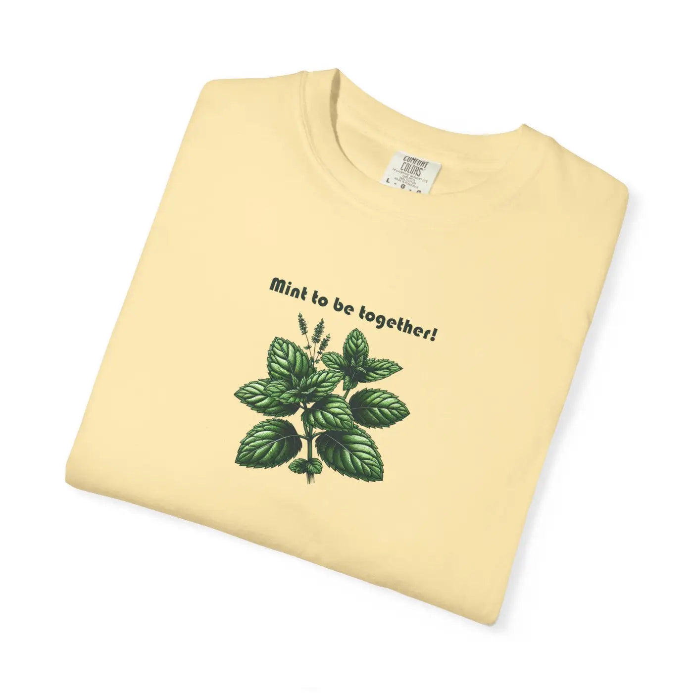 Garment-Dyed T-Shirt - Mint Carrots Comfort Colors Relaxed - DipaliZ
