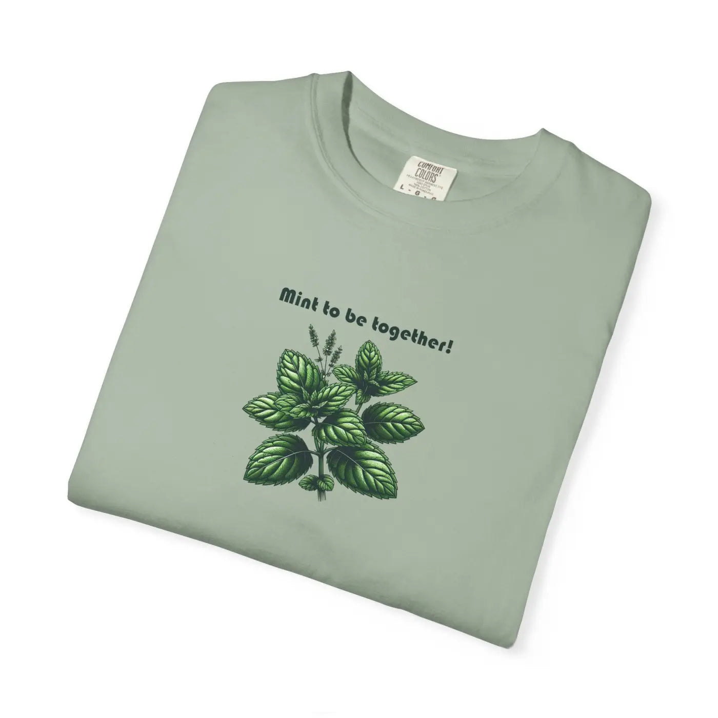Garment-Dyed T-Shirt - Mint Carrots Comfort Colors Relaxed - DipaliZ