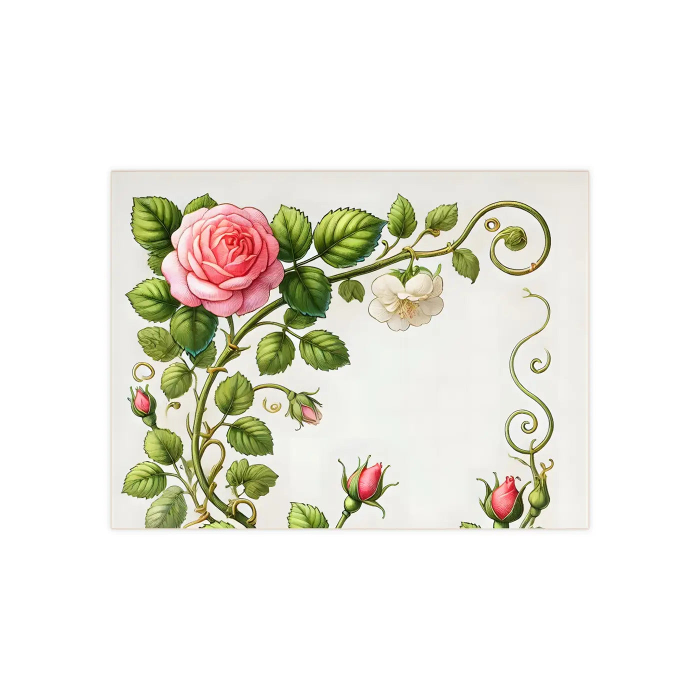 Enchanting Pink Rose Climber Ceramic Wall Tile - DipaliZ