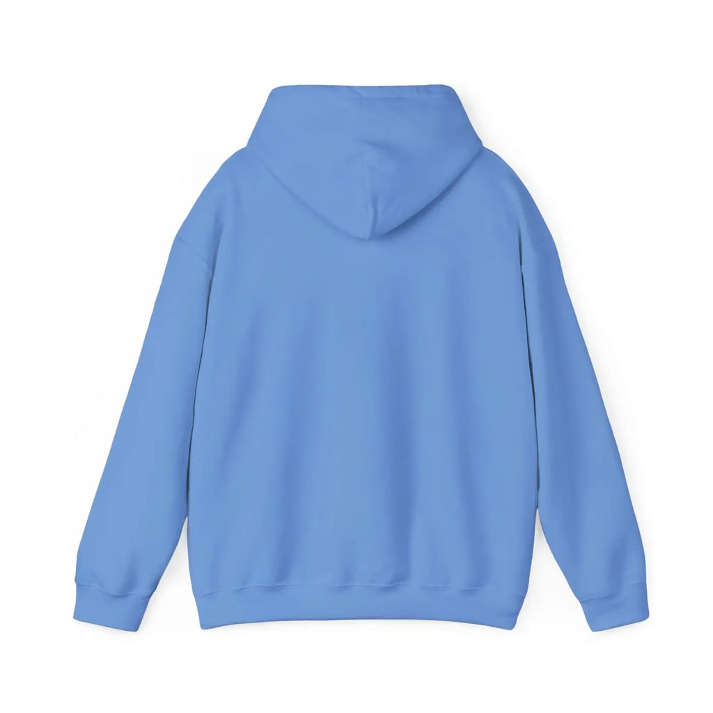 Pisces Zodiac Sign Hoodie - Cozy Astrology Sweatshirt - DipaliZ