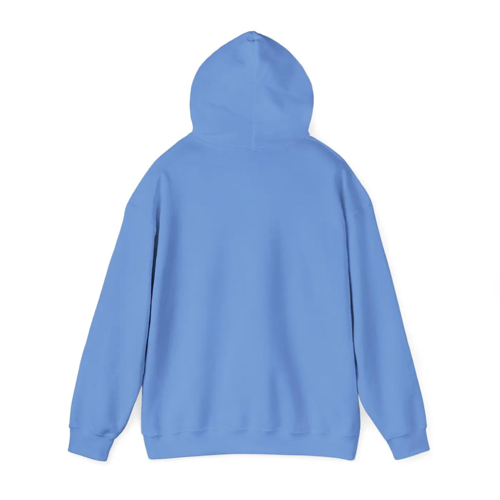 Pisces Zodiac Sign Hoodie - Cozy Astrology Sweatshirt - DipaliZ
