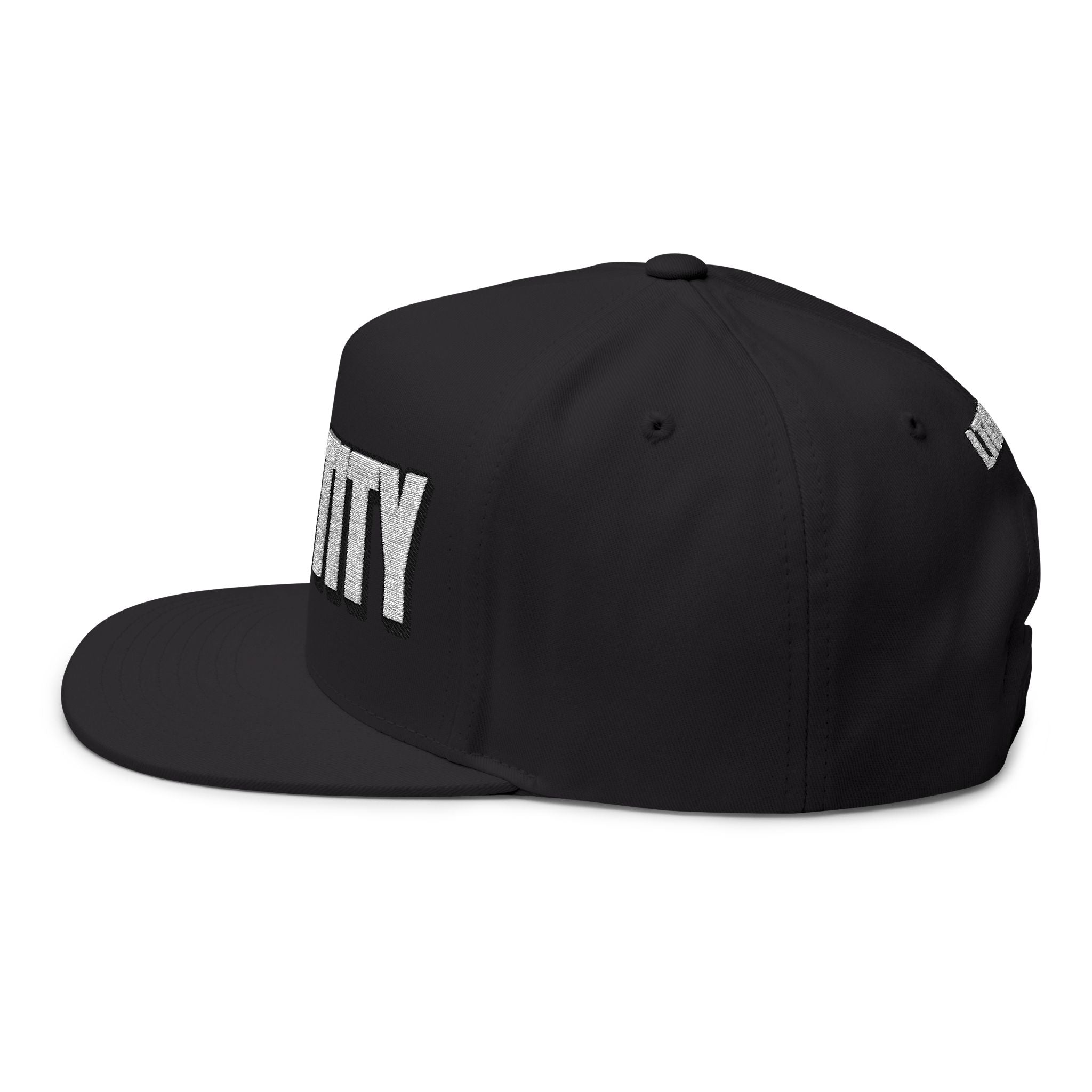 INTO: CHASTITY Embroidered Flat Bill Cap – Kink Hat for Caged Subs, Keyholder Dynamics & Erotic Denial Enthusiasts