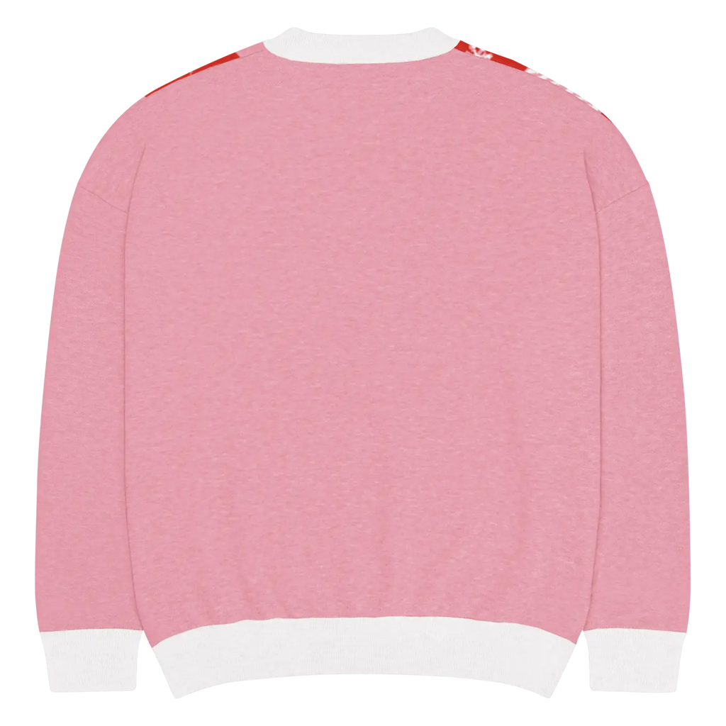 Red Buffalo Check Pattern Knitted Crew Sweater - DipaliZ