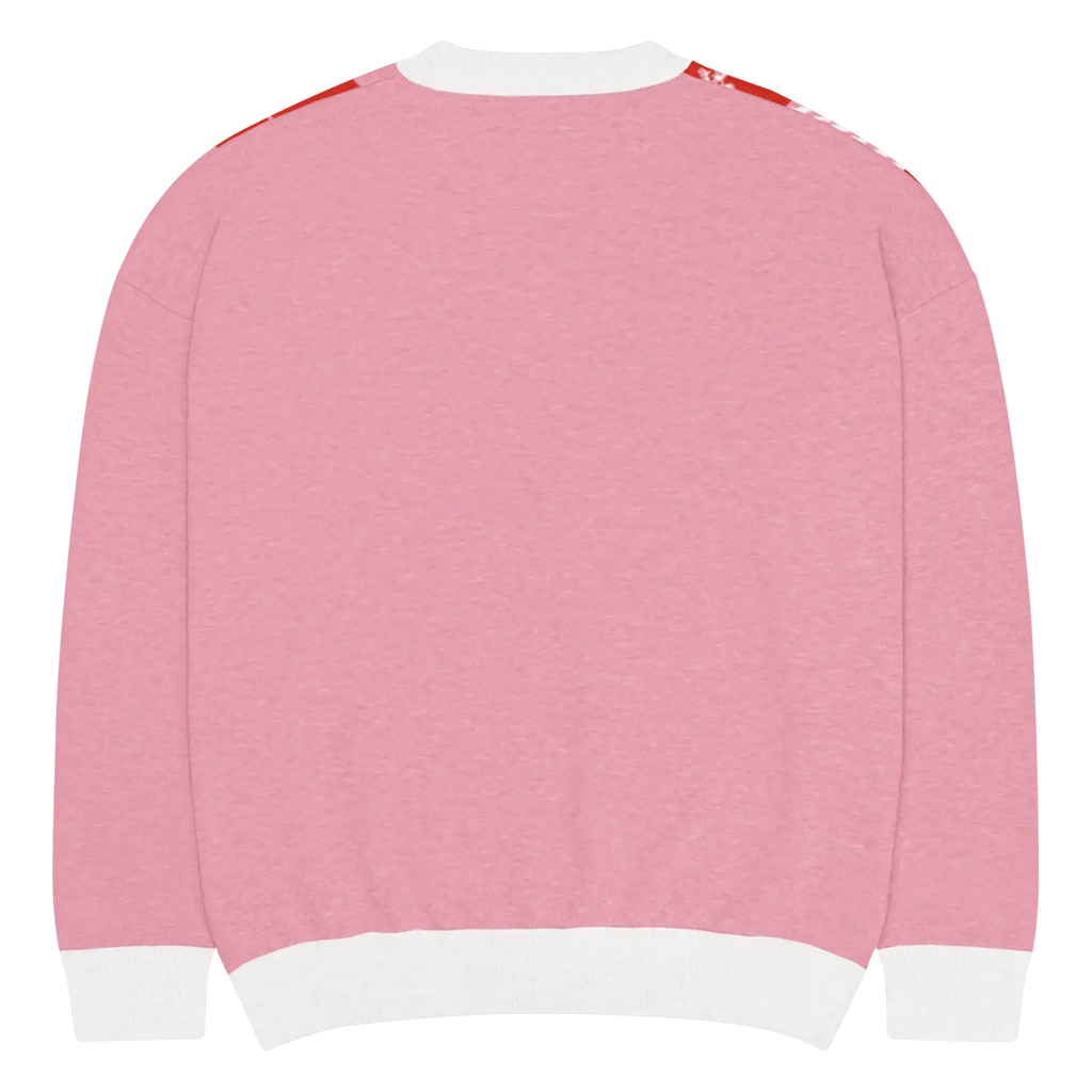 Red Buffalo Check Pattern Knitted Crew Sweater - DipaliZ
