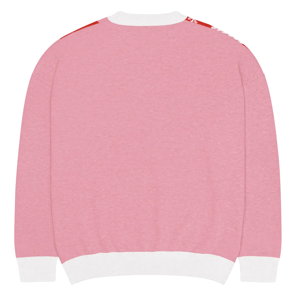 Red Buffalo Check Pattern Knitted Crew Sweater - DipaliZ
