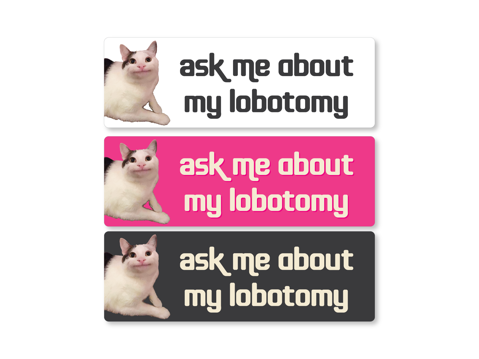 Ask Me About My Lobotomy Funny Bumper Sticker