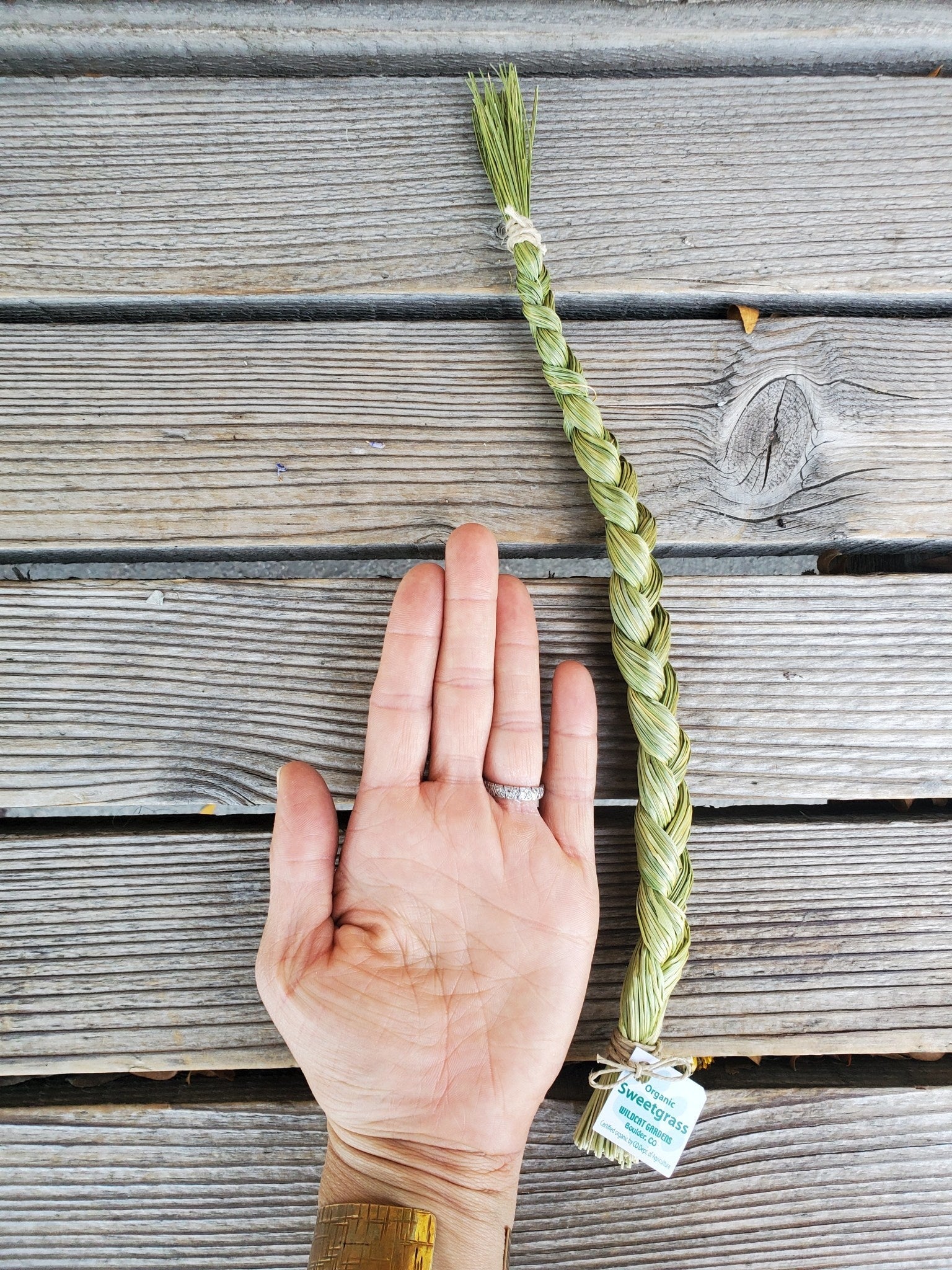 Sweetgrass Braid