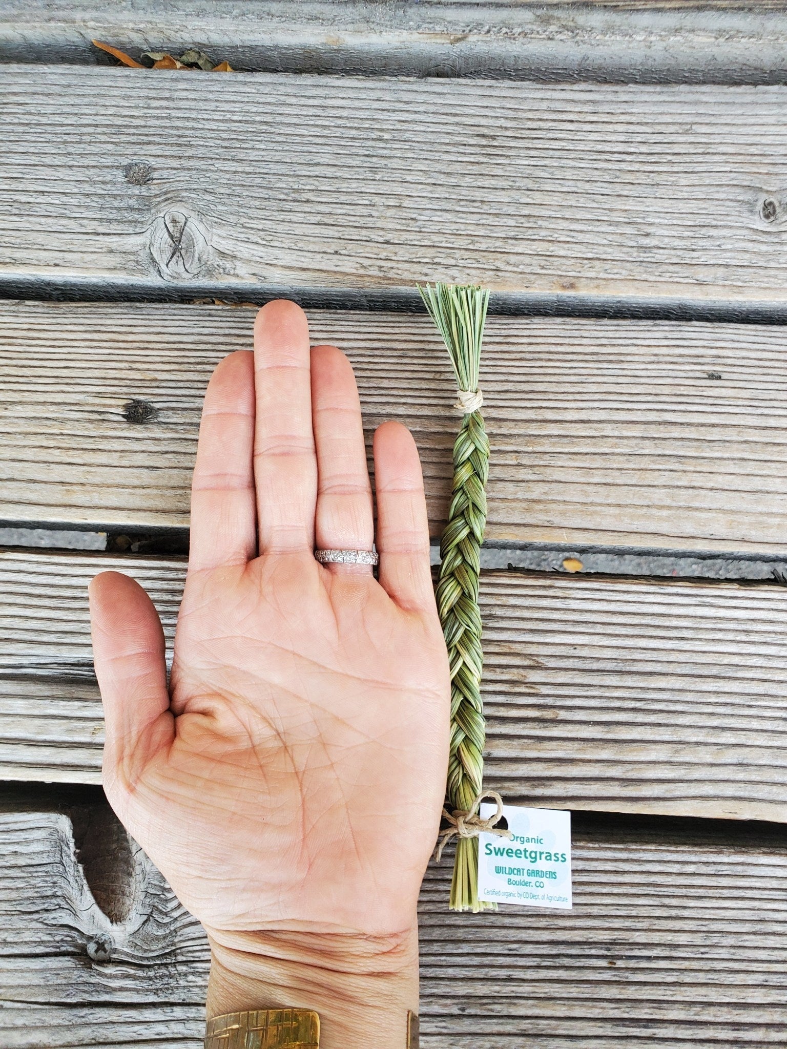 Sweetgrass Braid