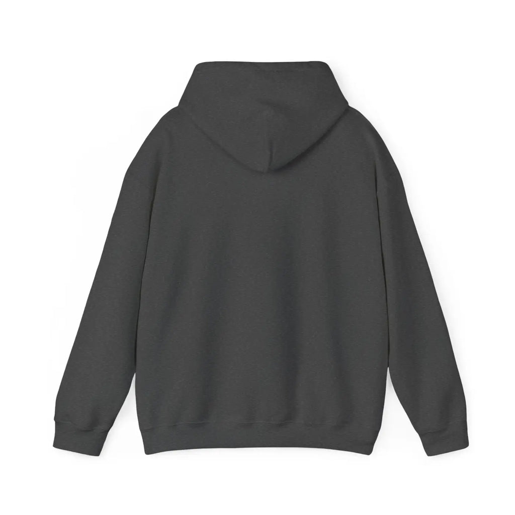 Heavy Blend Hooded Sweatshirt - Ultimate Cozy for Cold Days - DipaliZ