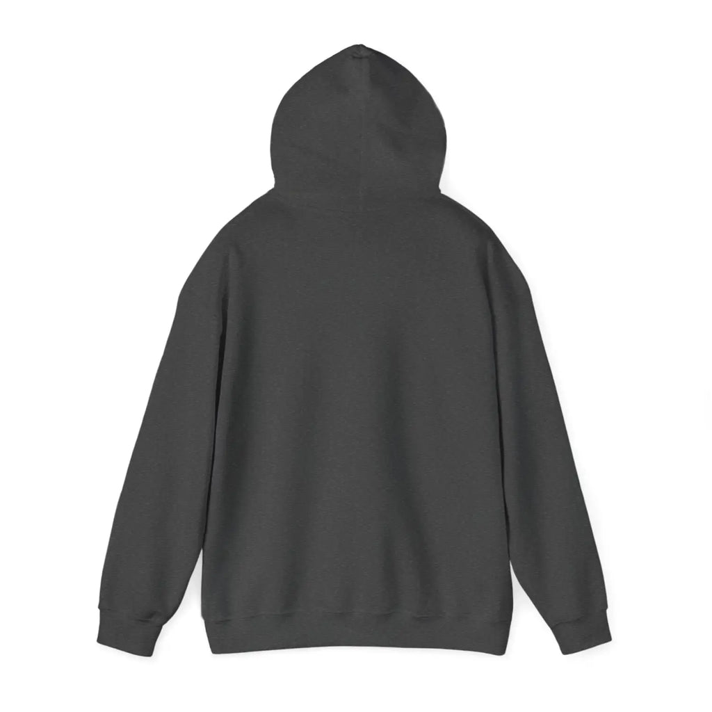 Heavy Blend Hooded Sweatshirt - Ultimate Cozy for Cold Days - DipaliZ