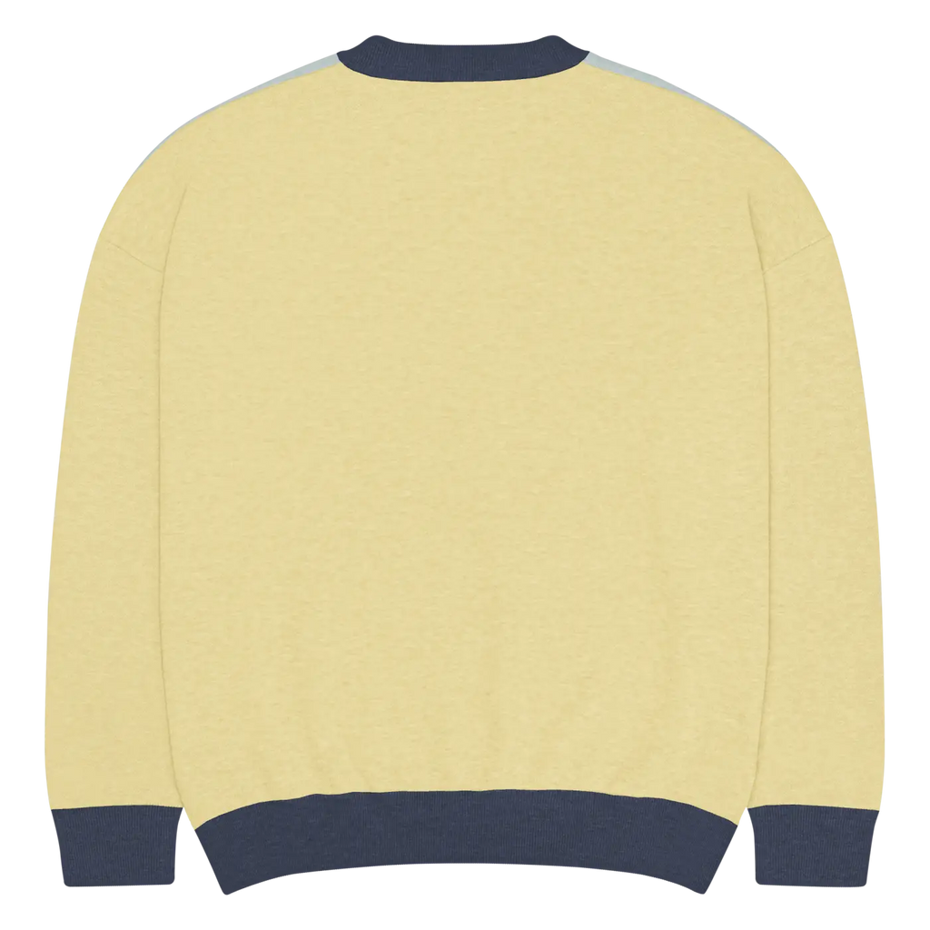 Snowflake Colorblock Knitted Crew Neck Sweater - Winter - DipaliZ