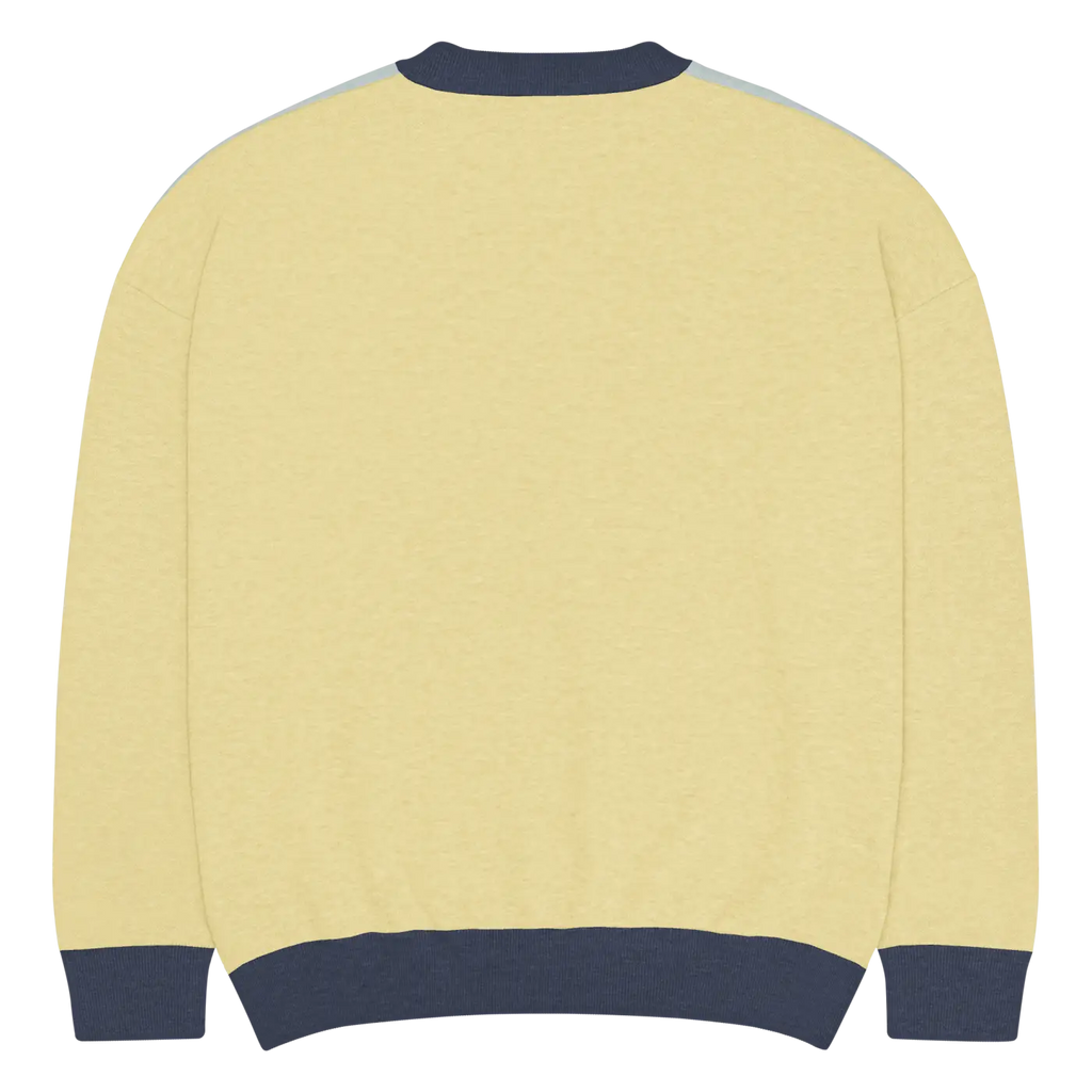 Snowflake Colorblock Knitted Crew Neck Sweater - Winter - DipaliZ