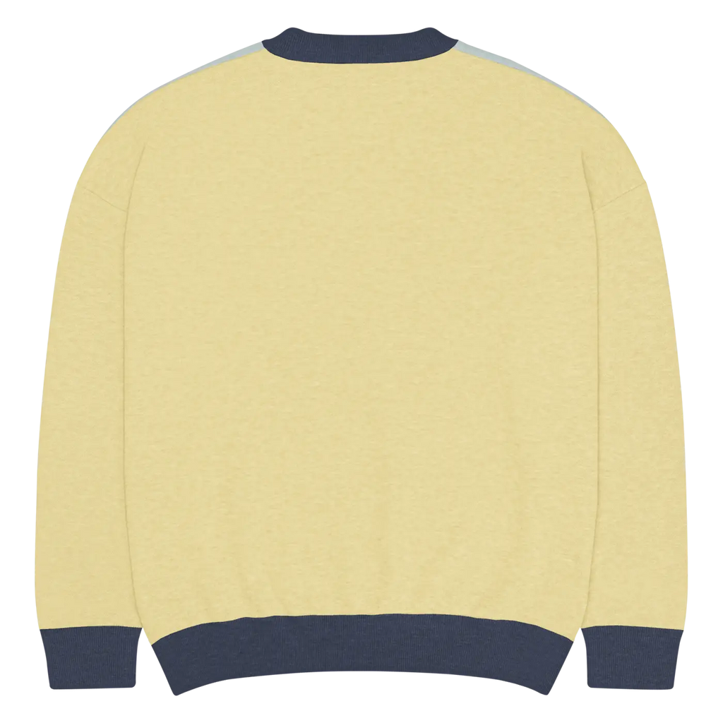 Snowflake Colorblock Knitted Crew Neck Sweater - Winter - DipaliZ